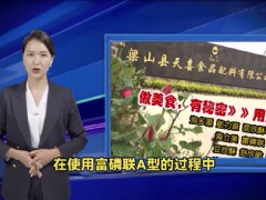 都说富磷联A型引起生产加工水发肉制品行业发生巨大变革